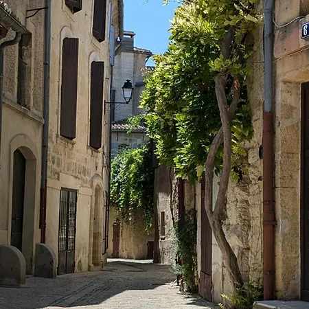 아파트 De Charme Au Coeur D'uzes