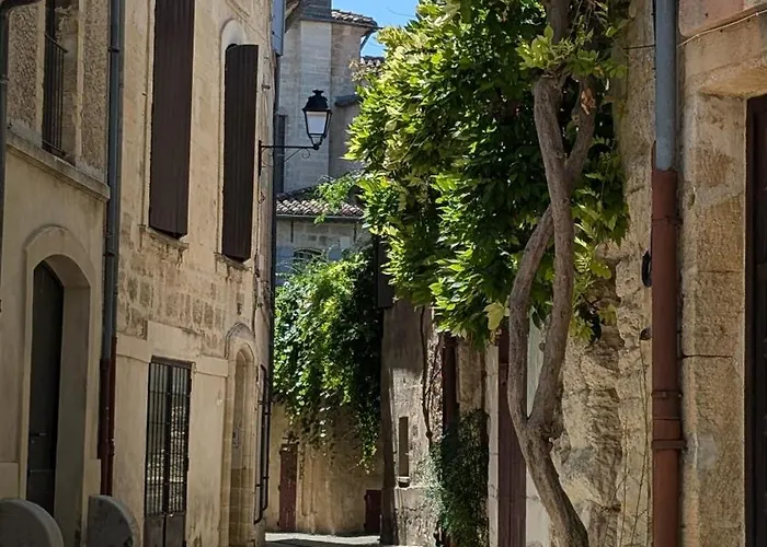 아파트 De Charme Au Coeur D'uzes